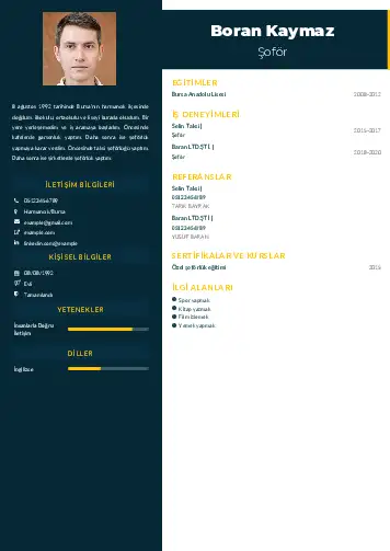 Şoför Cv Örnekleri cv indir